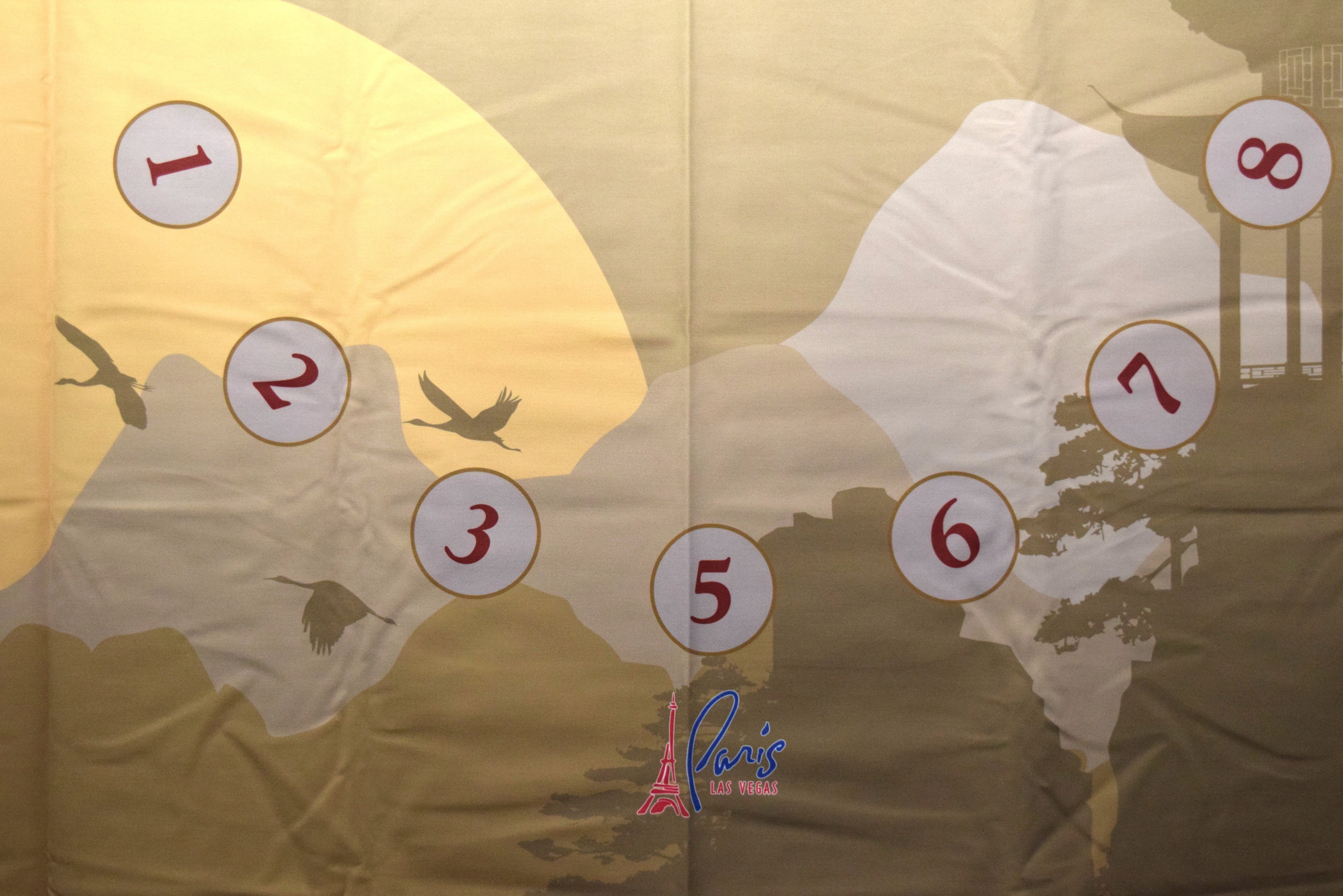 Paris Casino Las Vegas Nevada Year of The Rooster 2017 Pai Gow Layout