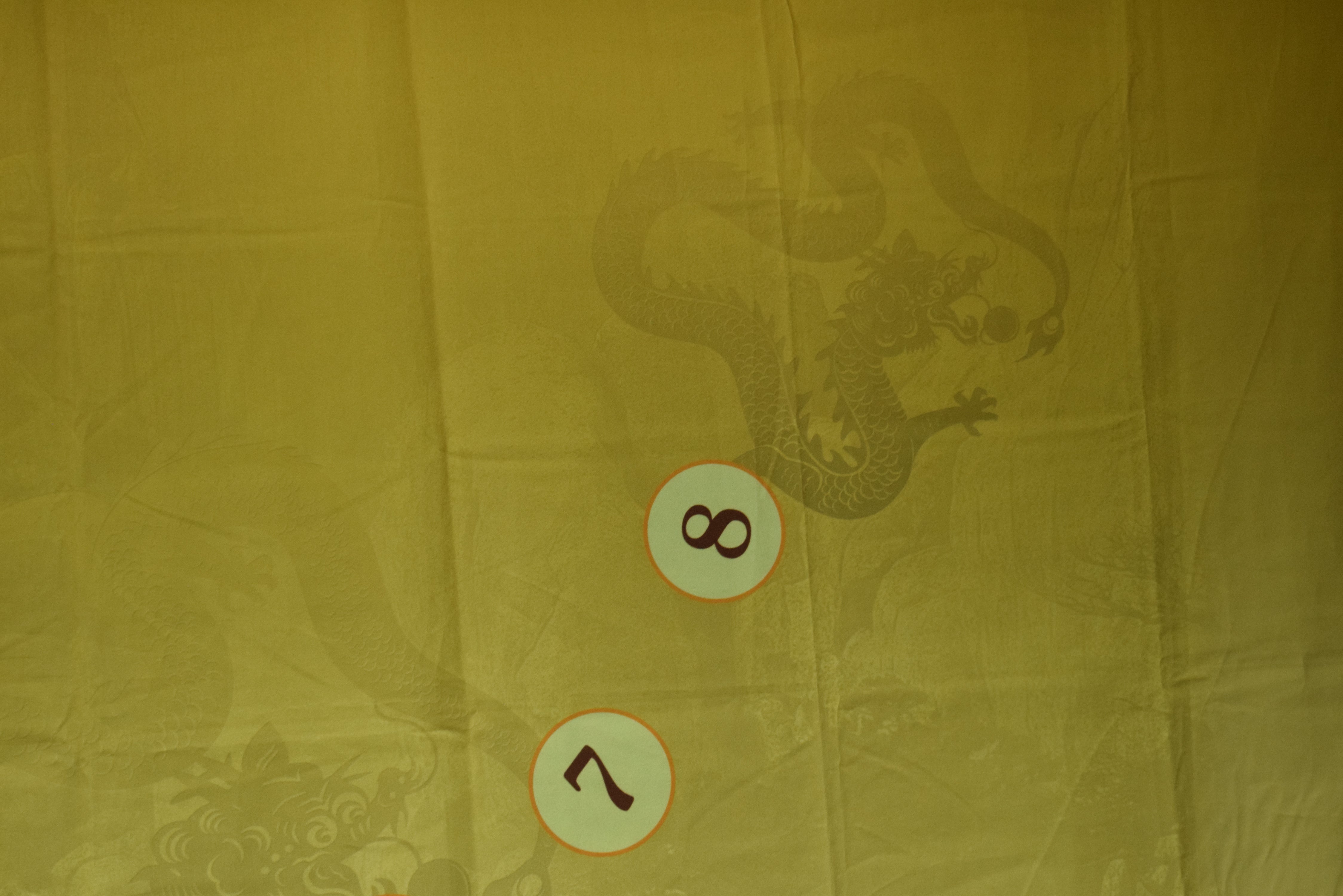 Paris Casino Las Vegas Nevada Year of The Dragon Pai Gow Layout