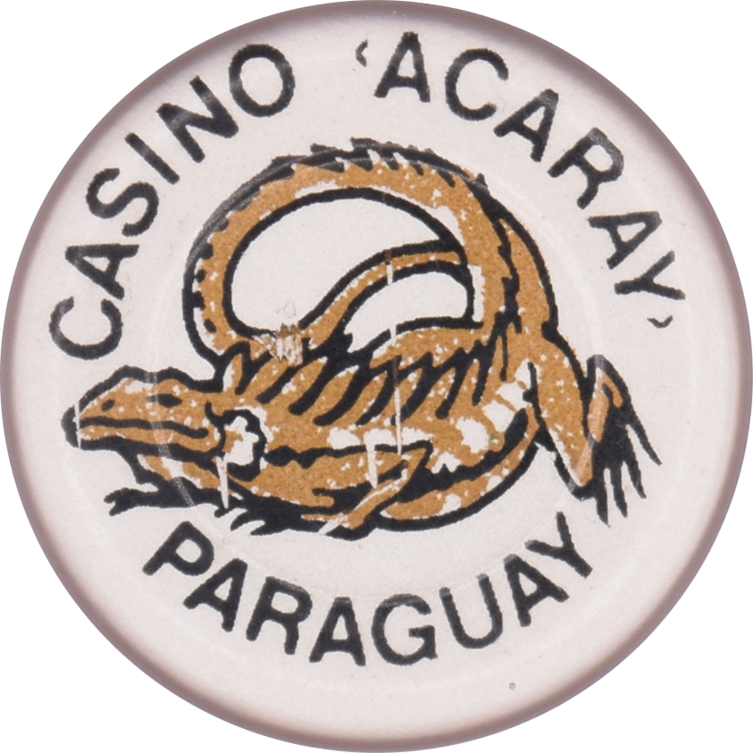 Casino Acaray Ciudad del Este Paraguay Roulette Iguana Silver Jeton Chip